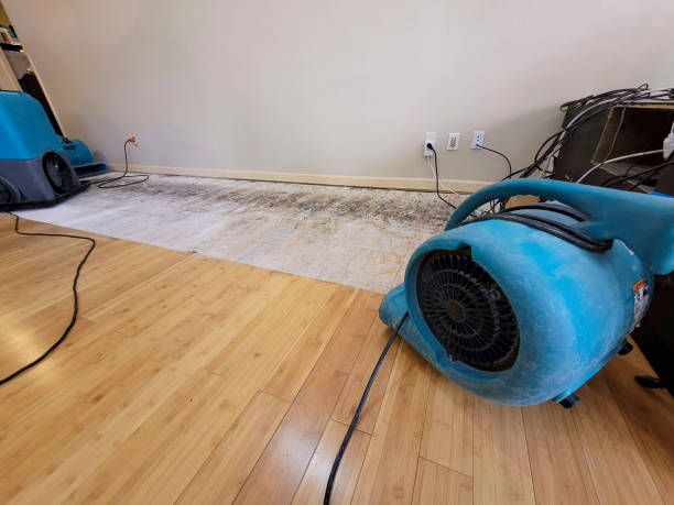 Professional Basement Flood Cleanup technician working in Ojai, CA